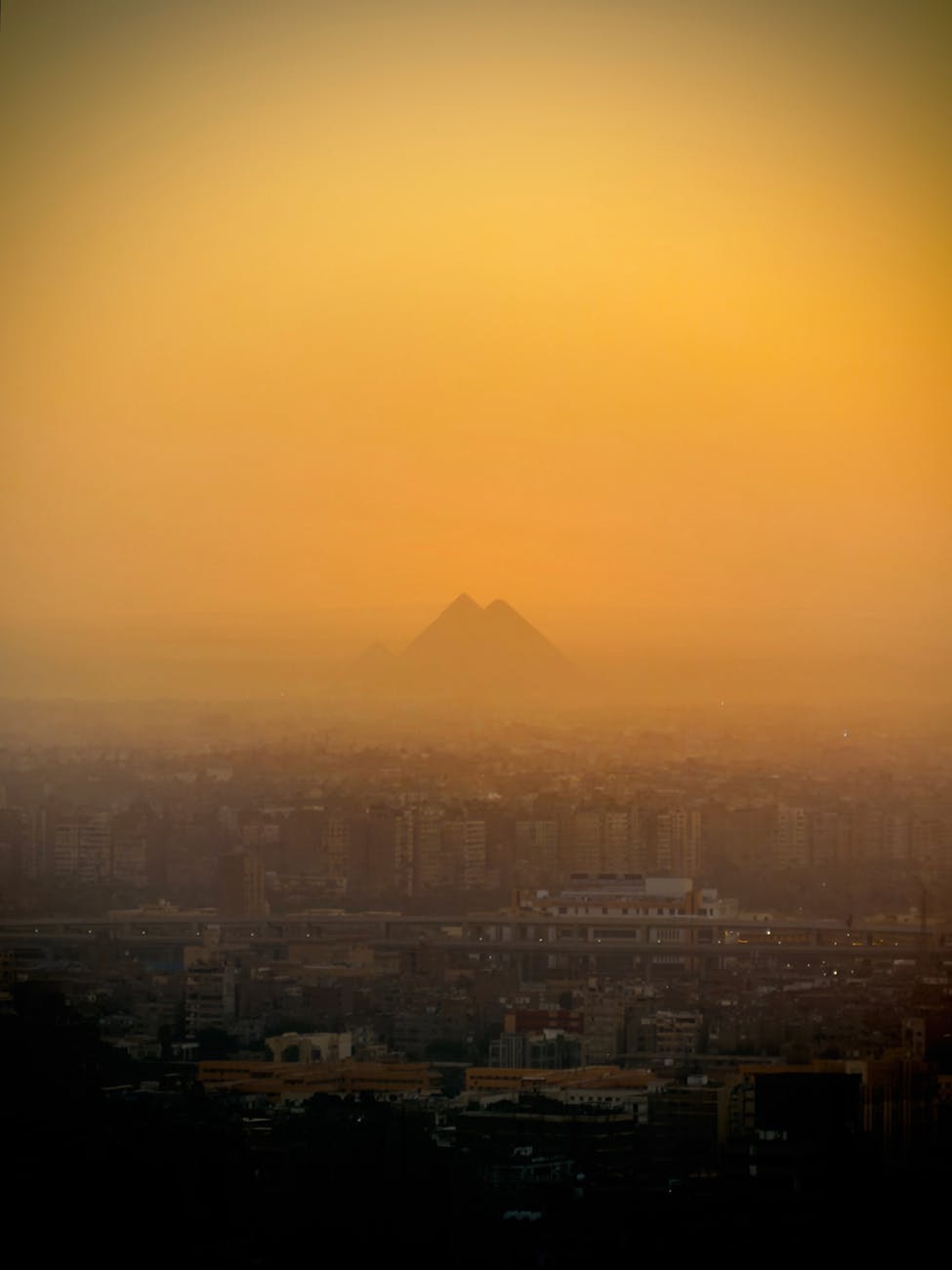 Shemot: And the More They Multiplied